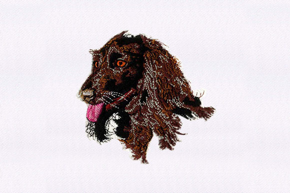 Afghan Hound Face: A Seasonal Embroidery Review