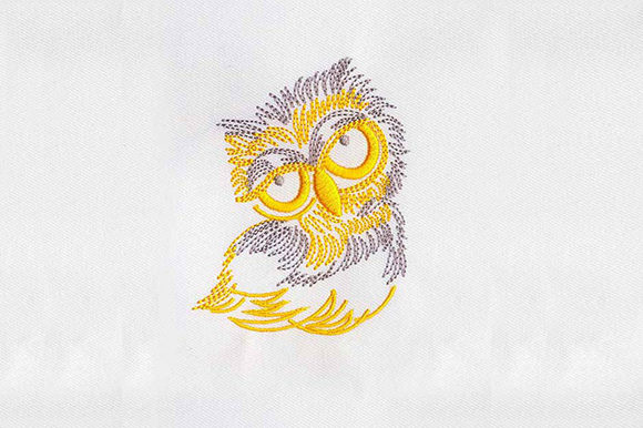 Big Eyes Owl Embroidery Review