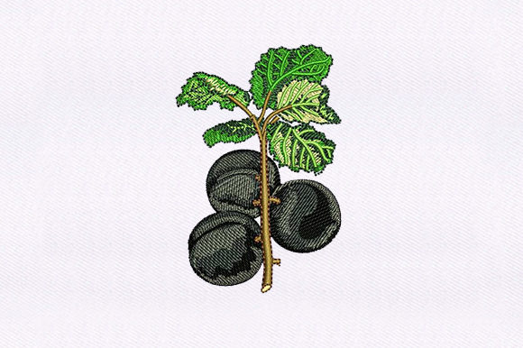 Black Cherry Vines: A Designer’s Real-World Embroidery Review