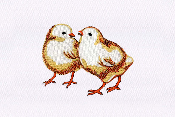 Chicks Chicken Embroidery Design