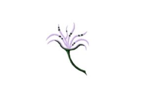 Engagement Ring Flower