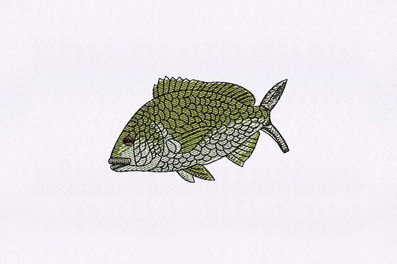 Green Fish: A Thoughtful Embroidery Design Review
