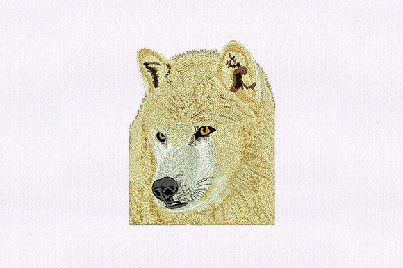 Labrador Husky Face: A Designer’s Real-World Embroidery Review