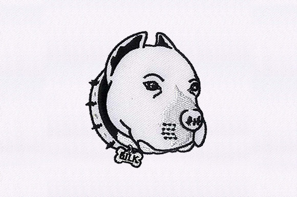 Pit Bull Face: Bold, Lovable & Booth-Ready